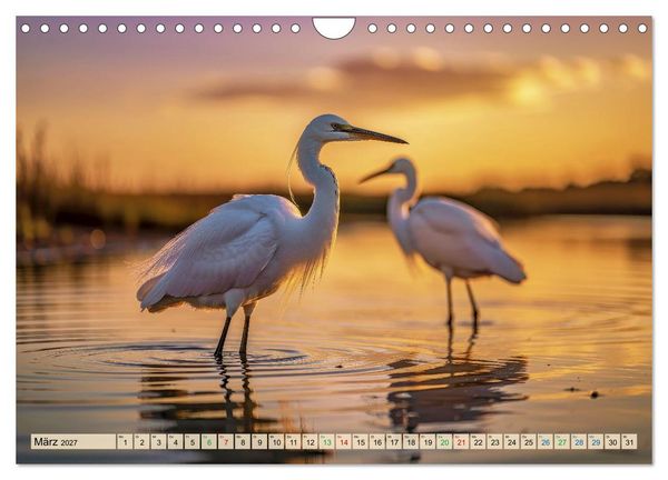 Produktbild: Silberreiher - pure Eleganz (Wandkalender 2027 DIN A4 quer), CALVENDO Monatskalender
