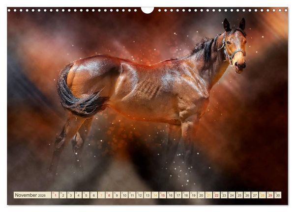 Produktbild: Eleganz und Sch&ouml;nheit - Pferde (Wandkalender 2026 DIN A3 quer), CALVENDO Monatskalender