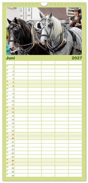 Produktbild: Familienplaner 2027 - Schwere Pferde mit 5 Spalten (Wandkalender, 21 x 45 cm) CALVENDO