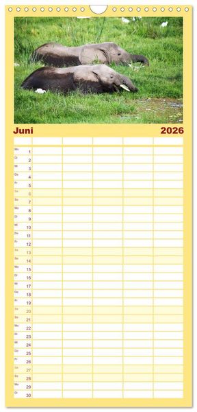 Produktbild: Familienplaner 2026 - Elefanten in Afrika mit 5 Spalten (Wandkalender, 21 x 45 cm) CALVENDO