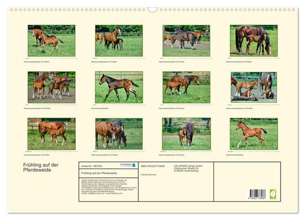 Produktbild: Fr&uuml;hling auf der Pferdeweide (Wandkalender 2026 DIN A2 quer), CALVENDO Monatskalender
