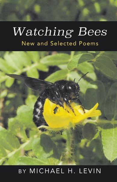 Produktbild: Watching Bees