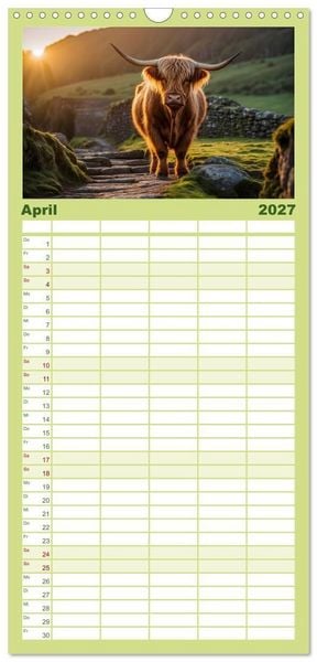 Produktbild: Familienplaner 2027 - Highland K&uuml;he mit 5 Spalten (Wandkalender, 21 x 45 cm) CALVENDO