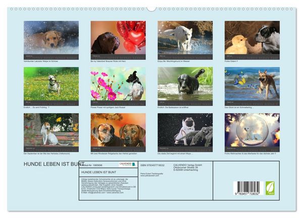 Produktbild: HUNDE LEBEN IST BUNT (hochwertiger Premium Wandkalender 2026 DIN A2 quer), Kunstdruck in Hochglanz