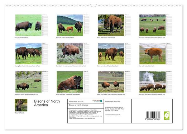 Produktbild: Bisons of North America (High Quality Premium Wall Calendar 2026 DIN A2 landscape),CALVENDO 12 Month Wall Calendar
