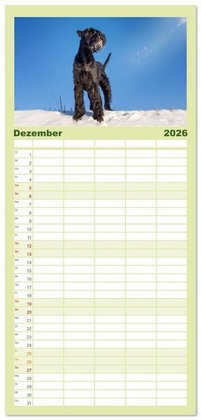 Produktbild: Familienplaner 2026 - Mit dem Riesenschnauzer durch das Jahr mit 5 Spalten (Wandkalender, 21 x 45 cm) CALVENDO
