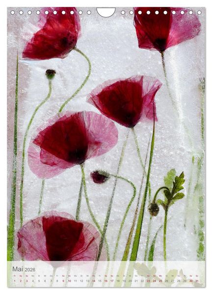 Produktbild: Blumen in Eis (Wandkalender 2026 DIN A4 hoch), CALVENDO Monatskalender