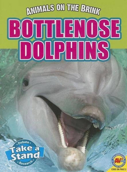 Produktbild: Bottlenose Dolphins
