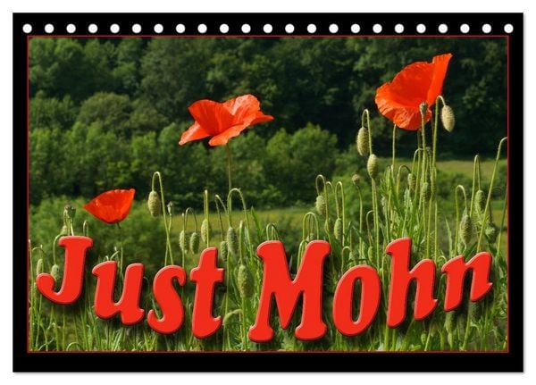 Produktbild: Just Mohn (Tischkalender 2026 DIN A5 quer), CALVENDO Monatskalender
