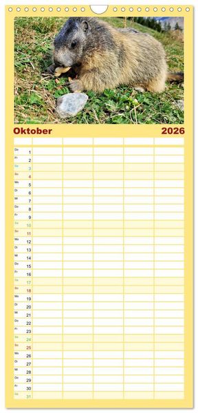 Produktbild: Familienplaner 2026 - Und ewig pfeift das Murmeltier mit 5 Spalten (Wandkalender, 21 x 45 cm) CALVENDO