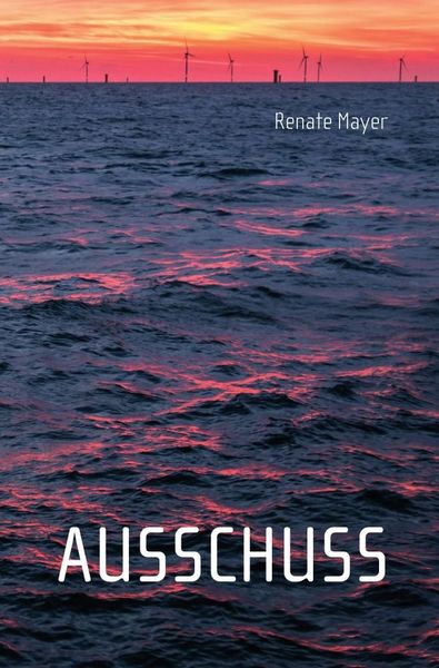 Produktbild: Ausschuss