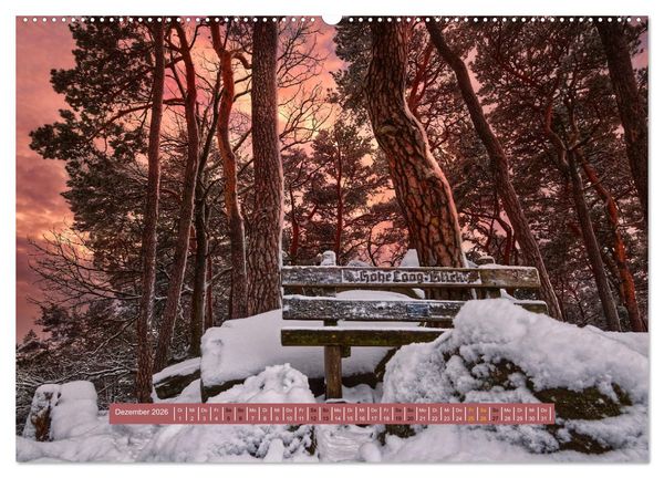 Produktbild: Magischer Pf&auml;lzer Wald (Wandkalender 2026 DIN A2 quer), CALVENDO Monatskalender