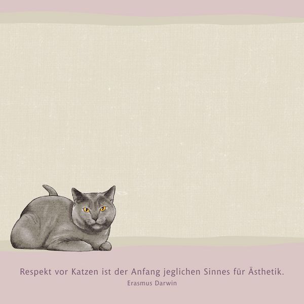 Produktbild: Zettelk&auml;stchen &ndash; I love cats