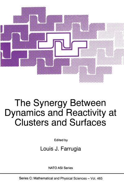 Produktbild: The Synergy Between Dynamics and Reactivity at Clusters and Surfaces
