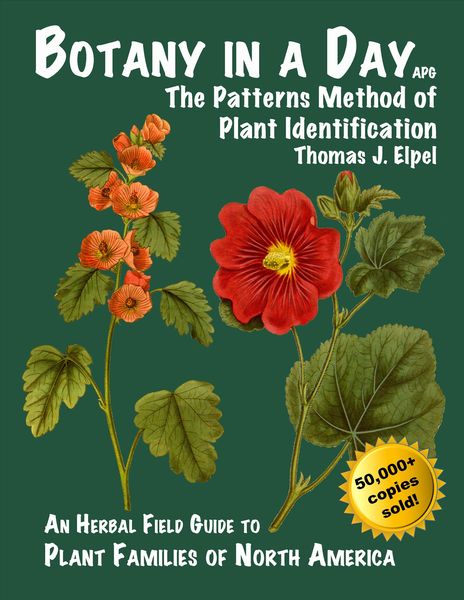 Produktbild: Botany in a Day: The Patterns Method of Plant Identification