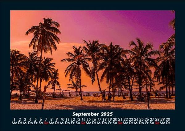 Produktbild: Palmentraum 2025 Fotokalender DIN A5