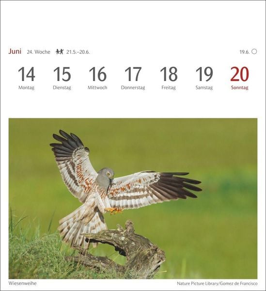 Produktbild: Heimische V&ouml;gel Postkartenkalender 2027 - Wochenkalender mit 53 Postkarten
