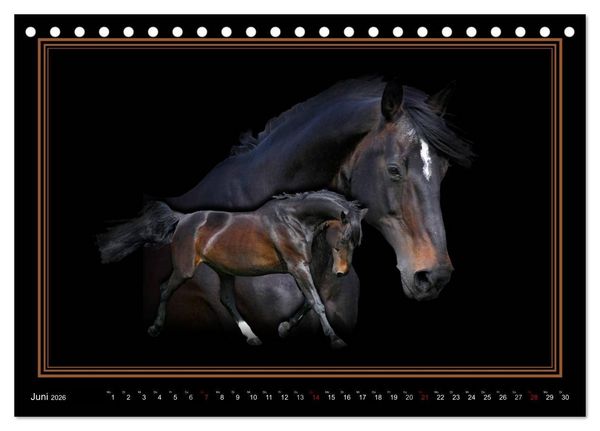 Produktbild: Traumpferde-ART-Collection (Tischkalender 2026 DIN A5 quer), CALVENDO Monatskalender