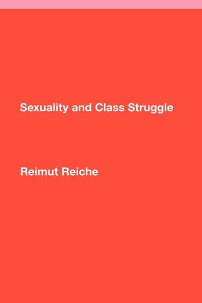 Produktbild: Sexuality and Class Struggle