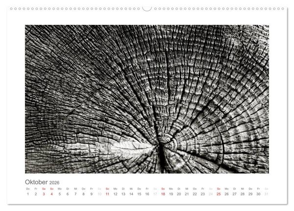 Produktbild: einfach schwarz-wei&szlig; (Wandkalender 2026 DIN A2 quer), CALVENDO Monatskalender