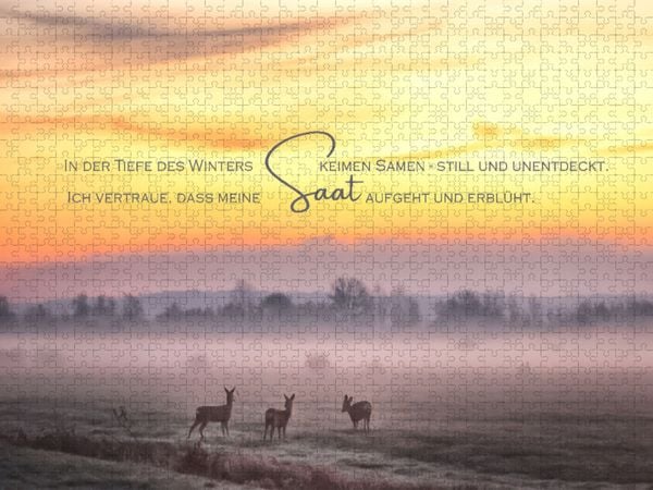 Produktbild: CALVENDO Puzzle Saat | 2000 Teile Lege-Gr&ouml;&szlig;e 90x67cm Foto-Puzzle f&uuml;r gl&uuml;ckliche Stunden