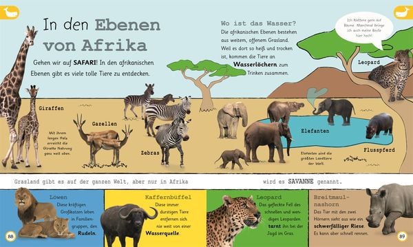 Wissen für Vorschulkids. Weißt du das?