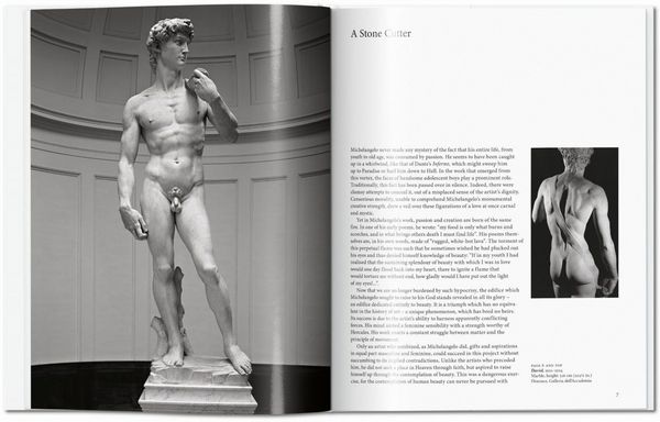 Produktbild: Michelangelo