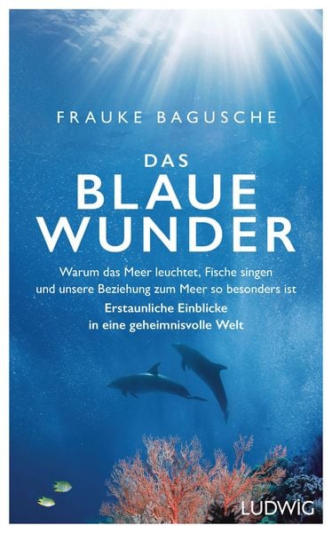 Produktbild: Das blaue Wunder