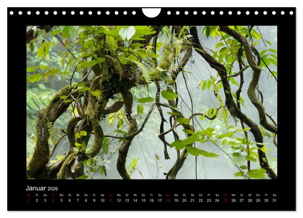 Produktbild: SUMATRA Abenteuer Regenwald (Wandkalender 2026 DIN A4 quer), CALVENDO Monatskalender