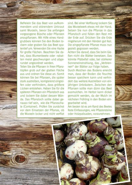 Produktbild: Mein Gartentagebuch f&uuml;r den Obst- und Gem&uuml;seg&auml;rtner