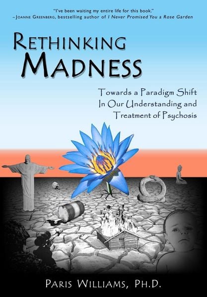 Produktbild: Rethinking Madness