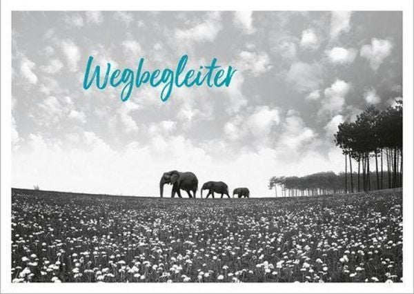 Produktbild: Post f&uuml;r dich - Postkartenset