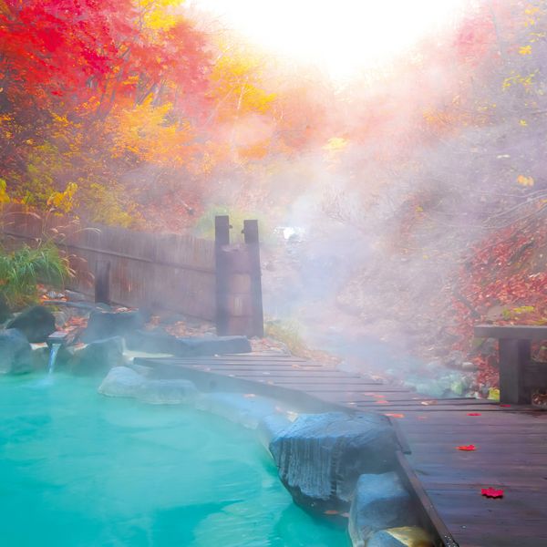 Produktbild: Japanese Garden 2027