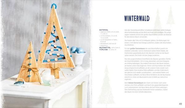 Produktbild: Deko-Ideen aus Holz