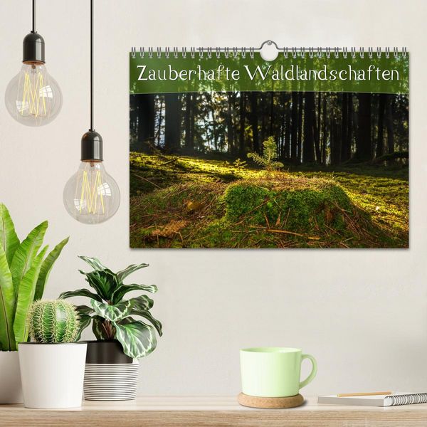 Produktbild: Zauberhafte Waldlandschaften (Wandkalender 2026 DIN A4 quer), CALVENDO Monatskalender