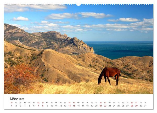 Produktbild: Freiheitsliebende Wildpferde (Wandkalender 2026 DIN A2 quer), CALVENDO Monatskalender