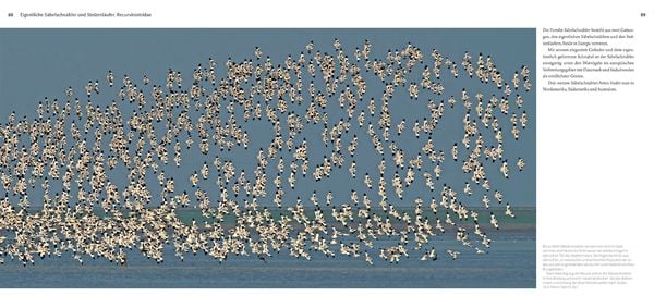 Produktbild: Die Watv&ouml;gel Europas