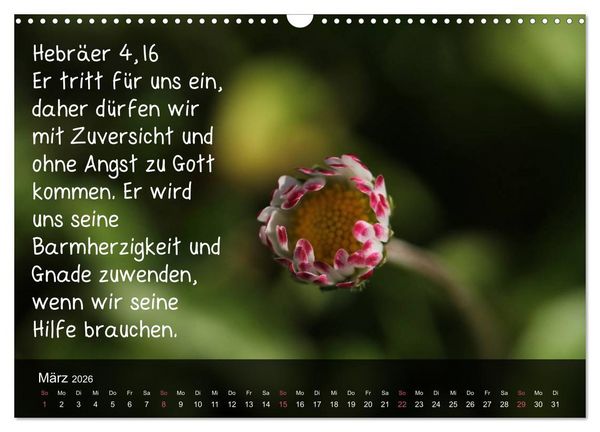 Produktbild: Sch&ouml;pfung im Licht (Wandkalender 2026 DIN A3 quer), CALVENDO Monatskalender