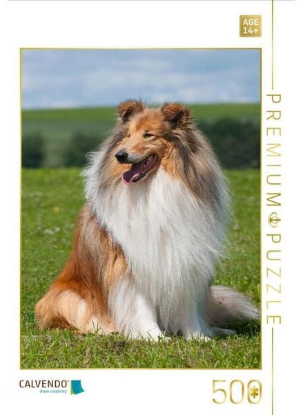 CALVENDO Puzzle Ein Motiv aus dem Kalender Collie 2017 | 500 Teile Lege-Größe 48 × 36 cm Foto-Puzzle für Erwachsene