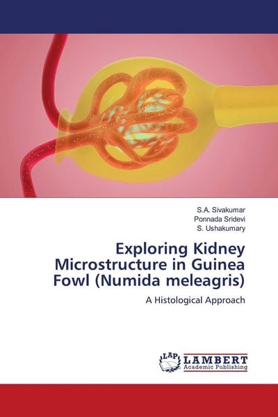 Produktbild: Exploring Kidney Microstructure in Guinea Fowl (Numida meleagris)