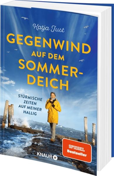 Produktbild: Gegenwind auf dem Sommerdeich
