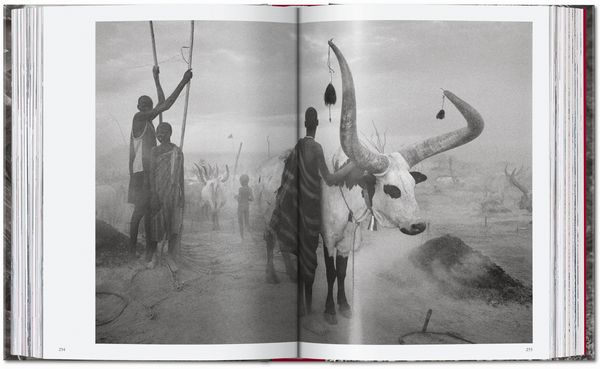 Produktbild: Sebasti&atilde;o Salgado