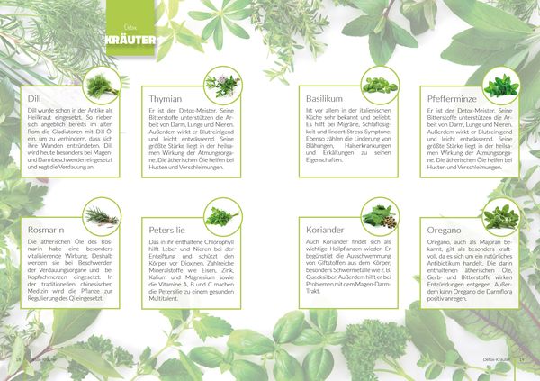 Produktbild: Detox Di&auml;tplan - Ern&auml;hrungsplan zum Abnehmen f&uuml;r 30 Tage