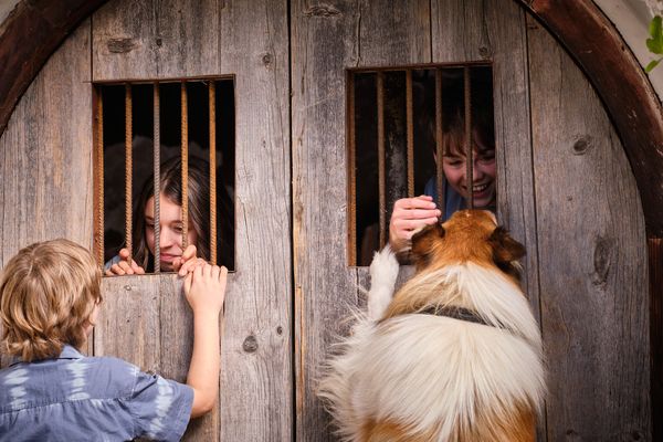 Lassie Torna A Casa (Blu-ray) (2022)