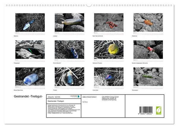 Produktbild: Gestrandet -Treibgut- (hochwertiger Premium Wandkalender 2026 DIN A2 quer), Kunstdruck in Hochglanz