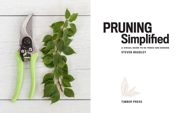 Produktbild: Pruning Simplified