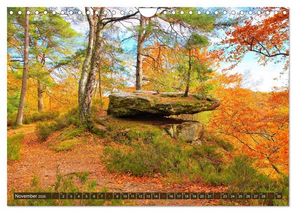 Produktbild: Der Altschlossfelsen - Gr&ouml;&szlig;te Felsformation der Pfalz im herbstlichen Farbspiel (Wandkalender 2026 DIN A4 quer), CALVENDO Monatskalender