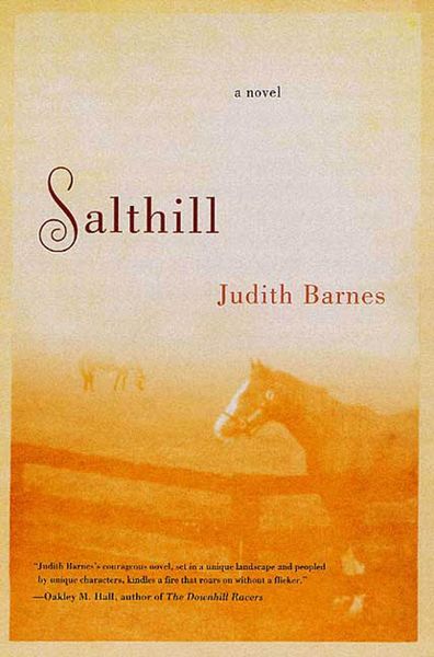 Produktbild: Salthill