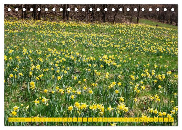 Produktbild: Eifel Sehnsucht (Tischkalender 2026 DIN A5 quer), CALVENDO Monatskalender