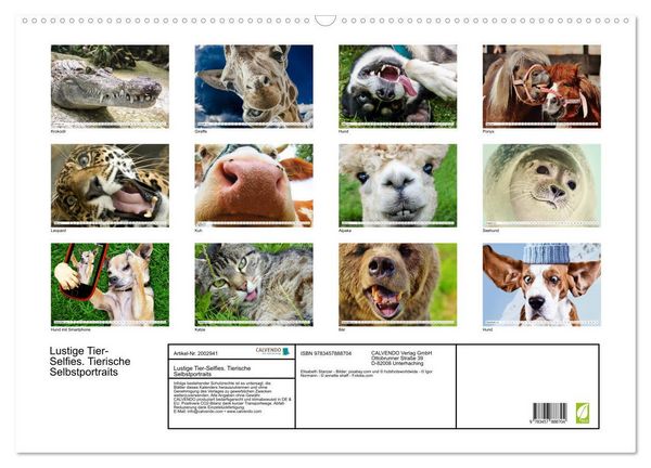 Produktbild: Lustige Tier-Selfies. Tierische Selbstportraits (Wandkalender 2026 DIN A2 quer), CALVENDO Monatskalender